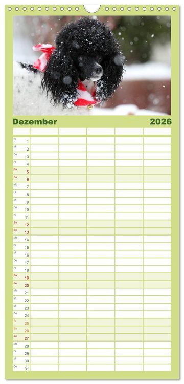 Produktbild: Familienplaner 2026 - Faszination Hund mit 5 Spalten (Wandkalender, 21 x 45 cm) CALVENDO