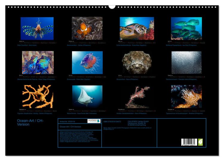 Produktbild: Ocean-Art / CH-Version (Wandkalender 2026 DIN A2 quer), CALVENDO Monatskalender