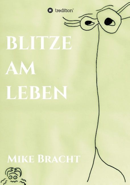 Produktbild: Blitze am Leben