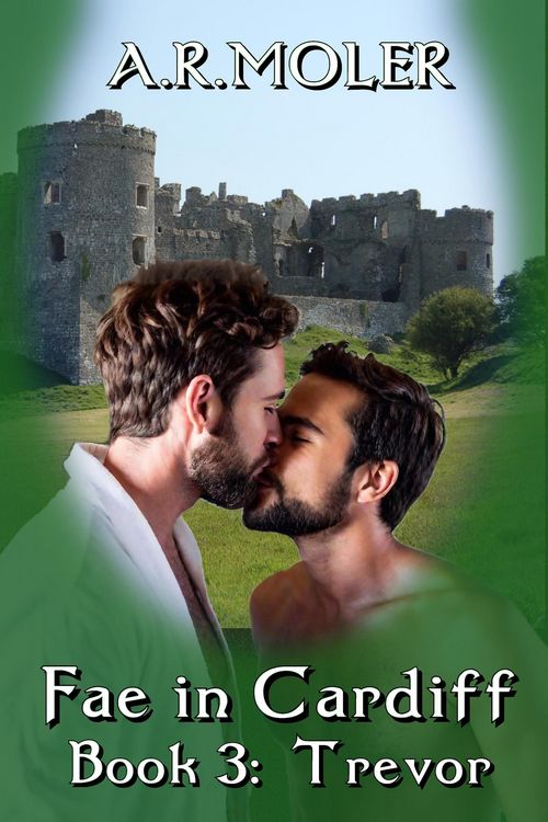 Produktbild: Fae in Cardiff Book 3: Trevor