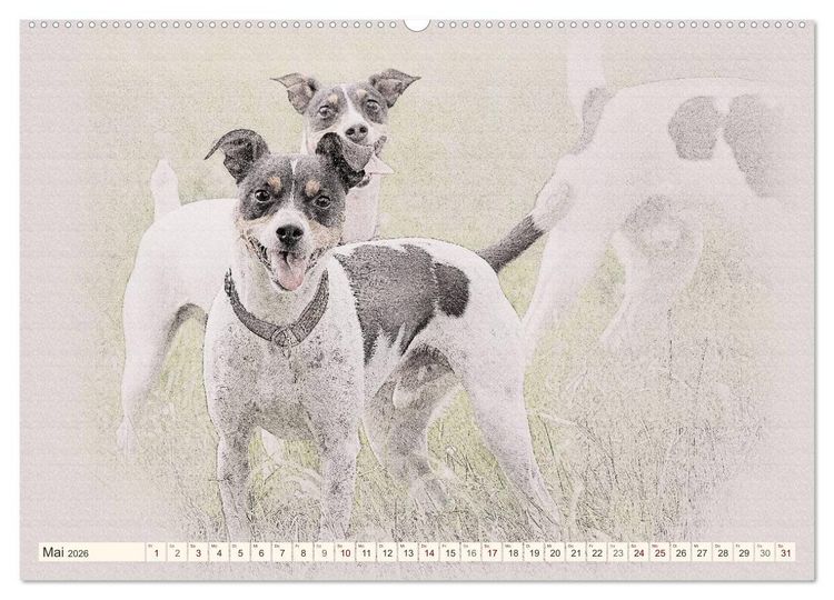 Produktbild: Bodeguero Andaluz 2026 (Wandkalender 2026 DIN A2 quer), CALVENDO Monatskalender