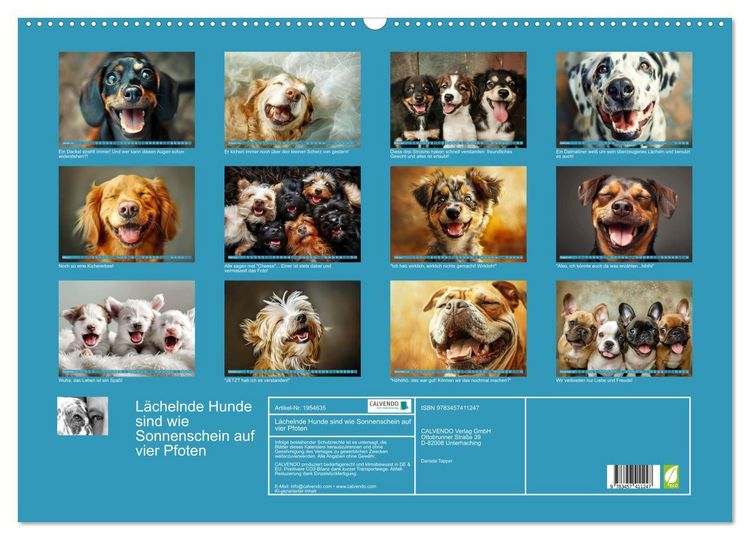 Produktbild: L&auml;chelnde Hunde sind wie Sonnenschein auf vier Pfoten (Wandkalender 2026 DIN A2 quer), CALVENDO Monatskalender