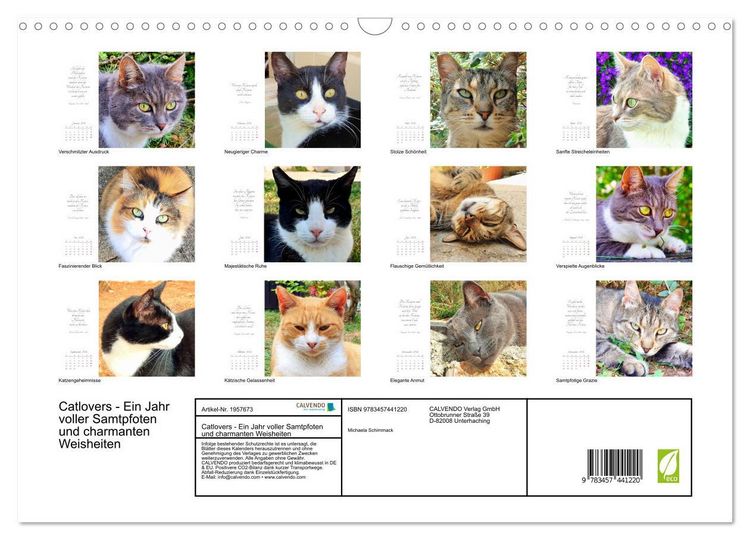 Produktbild: Catlovers - Ein Jahr voller Samtpfoten und charmanten Weisheiten (Wandkalender 2026 DIN A3 quer), CALVENDO Monatskalender