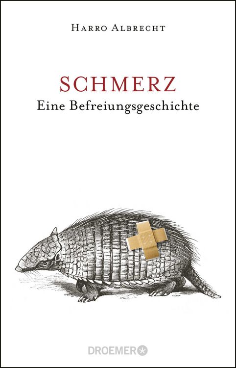 Produktbild: Schmerz