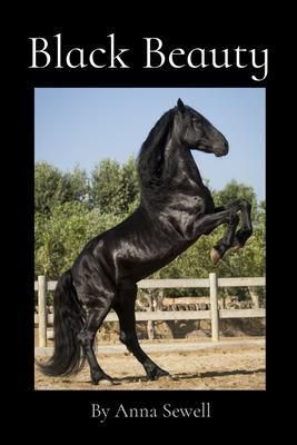 Produktbild: Black Beauty