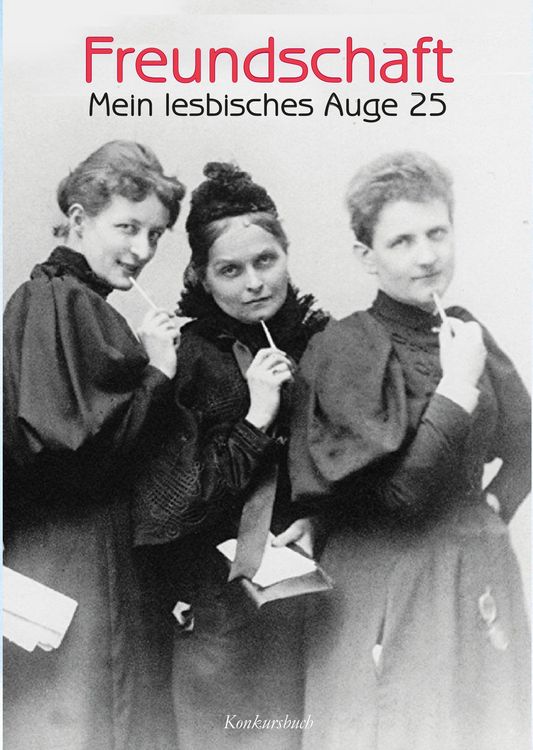 Produktbild: Mein lesbisches Auge 25: Freundschaft