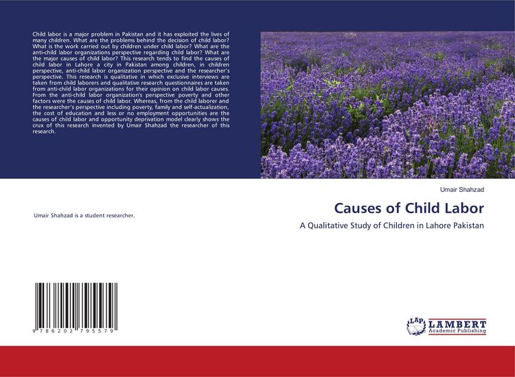 Produktbild: Causes of Child Labor