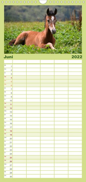 Produktbild: Familienplaner Die lieben Kleinen ... Tierkinder einfach zum Knuddeln (Wandkalender 2022 , 21 cm x 45 cm, hoch)