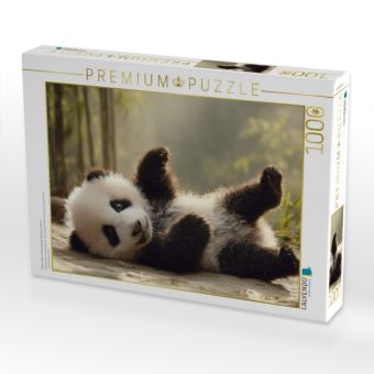 Produktbild: CALVENDO Puzzle Wenn kleine Pfoten gro&szlig;e Herzen erobern | 1000 Teile Lege-Gr&ouml;&szlig;e 64x48cm Foto-Puzzle f&uuml;r gl&uuml;ckliche Stunden