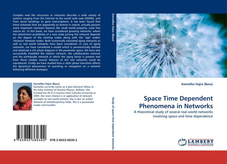 Produktbild: Space Time Dependent Phenomena in Networks