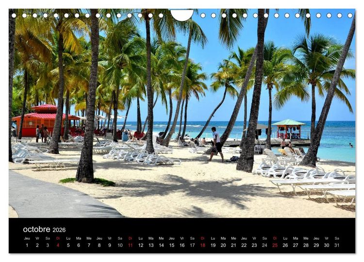 Produktbild: Paysages de Guadeloupe (Calendrier mural 2026 DIN A4 vertical), CALVENDO calendrier mensuel