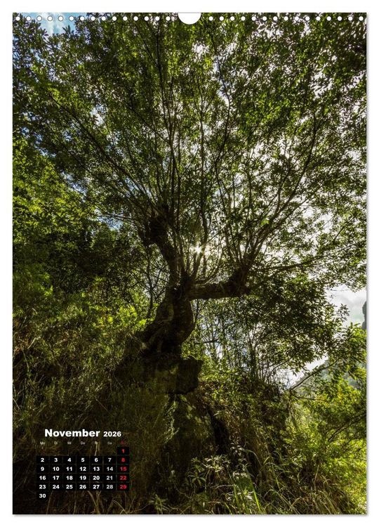 Produktbild: Levadas - Wasserwege auf Madeira (Wandkalender 2026 DIN A3 hoch), CALVENDO Monatskalender
