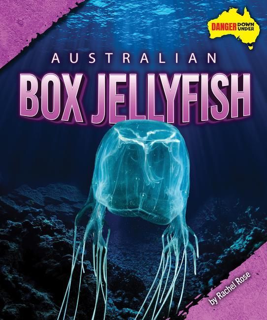 Produktbild: Australian Box Jellyfish