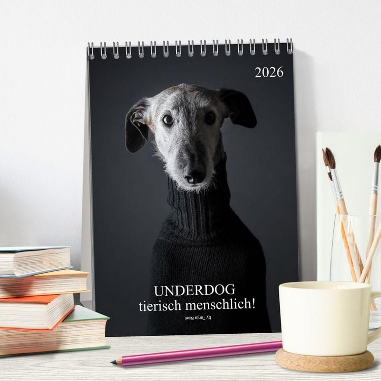 Produktbild: UNDERDOG - Windhundportraits (Tischkalender 2026 DIN A5 hoch), CALVENDO Monatskalender