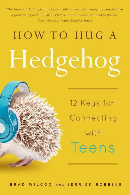 Produktbild: How to Hug a Hedgehog