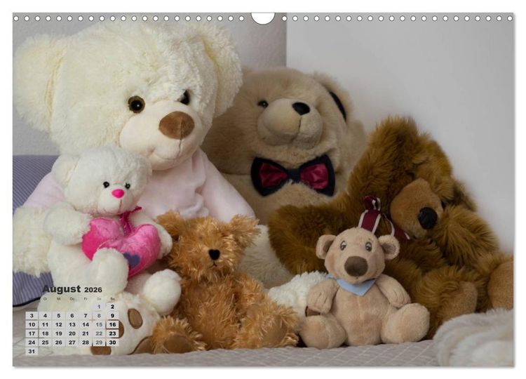 Produktbild: Teddys, wollen wir Kalender anschauen? (Wandkalender 2026 DIN A3 quer), CALVENDO Monatskalender