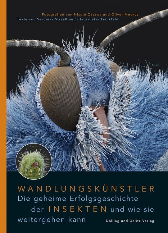 Produktbild: Wandlungskünstler. Die geheime Erfolgsgeschichte der Insekten und wie sie weitergehen kann