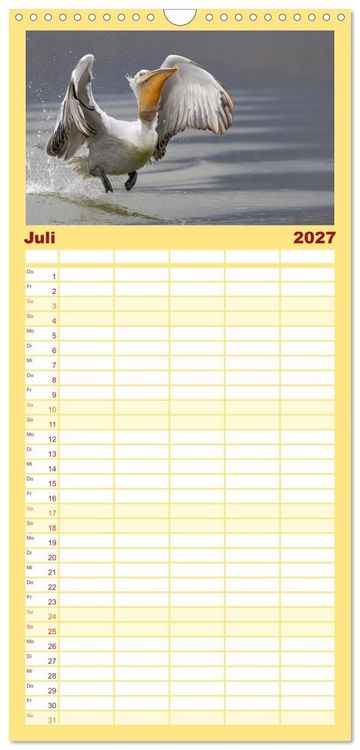 Produktbild: Familienplaner 2027 - Krauskopfpelikane mit 5 Spalten (Wandkalender, 21 x 45 cm) CALVENDO