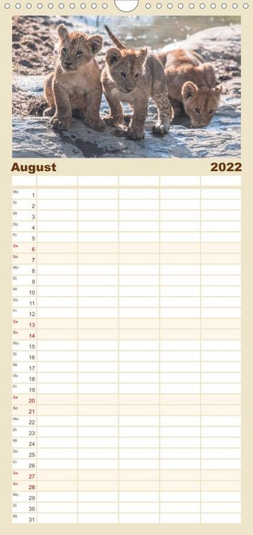 Produktbild: L&ouml;wen - Raubkatzen Afrikas - Familienplaner hoch (Wandkalender 2022 , 21 cm x 45 cm, hoch)