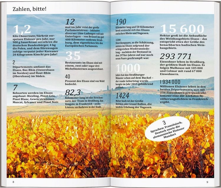 Produktbild: DUMONT direkt Reisef&uuml;hrer Elsass
