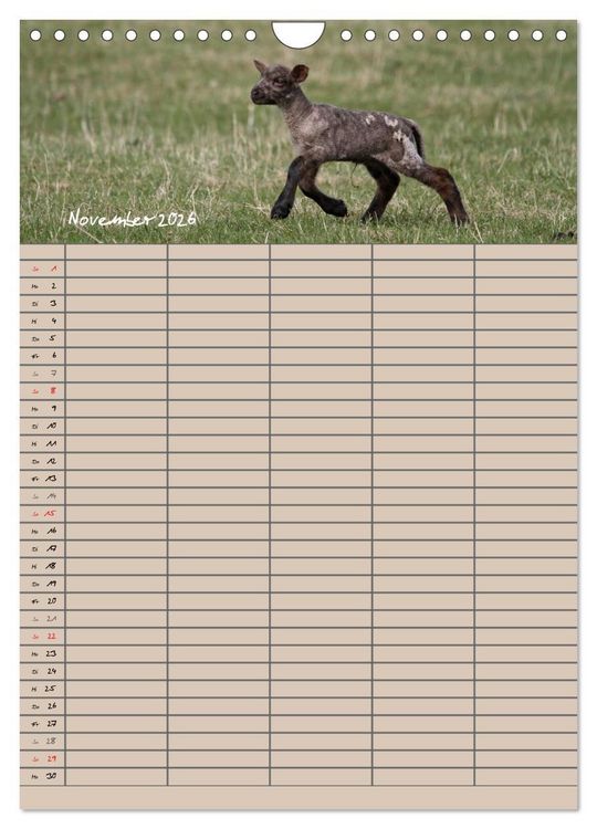 Produktbild: Der bel&auml;mmerte Familienplaner (Wandkalender 2026 DIN A4 hoch), CALVENDO Monatskalender