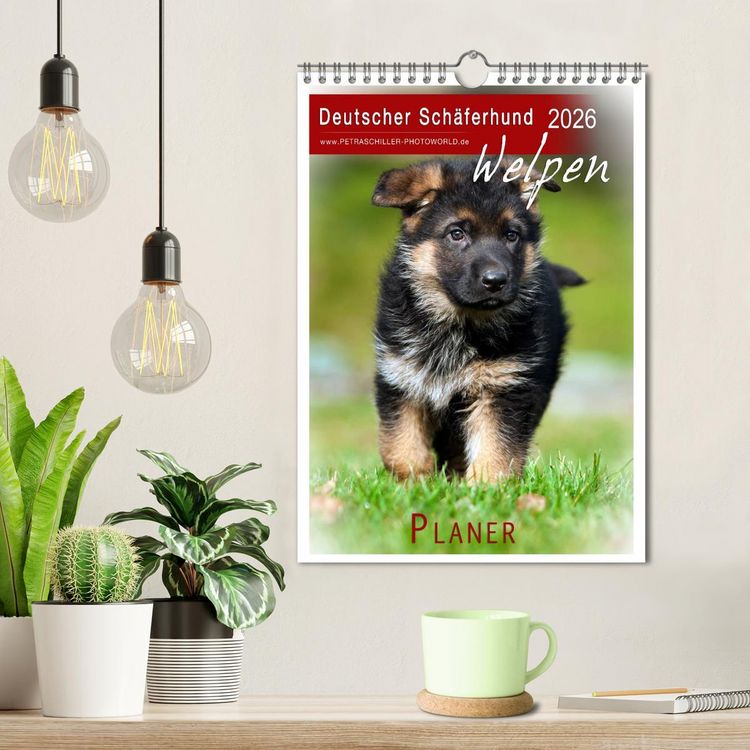 Produktbild: Deutscher Sch&auml;ferhund - Welpen, Planer (Wandkalender 2026 DIN A4 hoch), CALVENDO Monatskalender