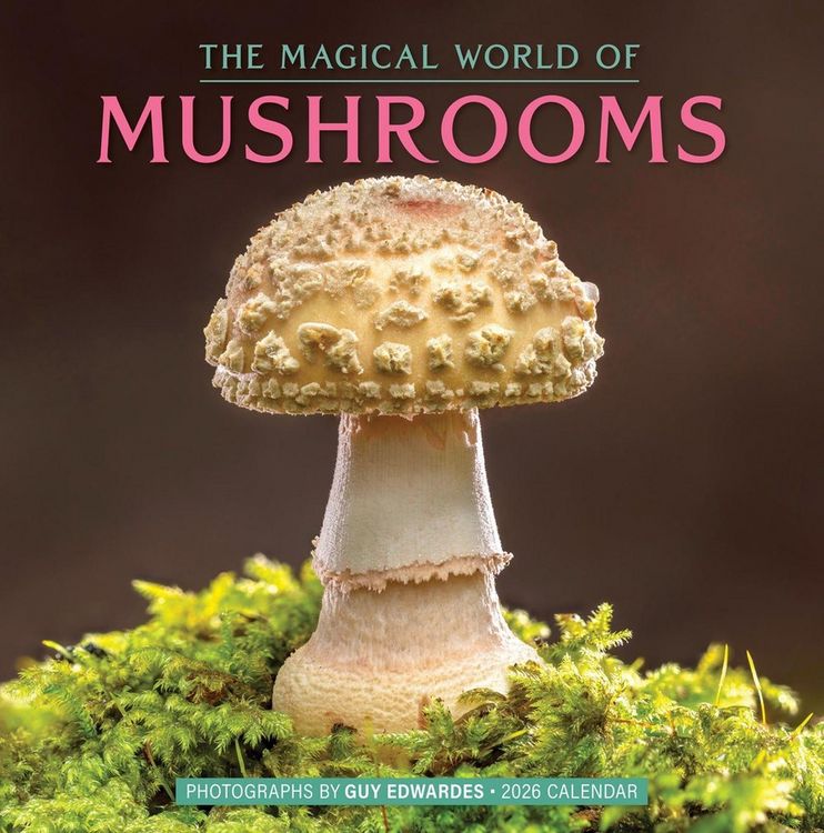Produktbild: The Magical World of Mushrooms Wall Calendar 2026