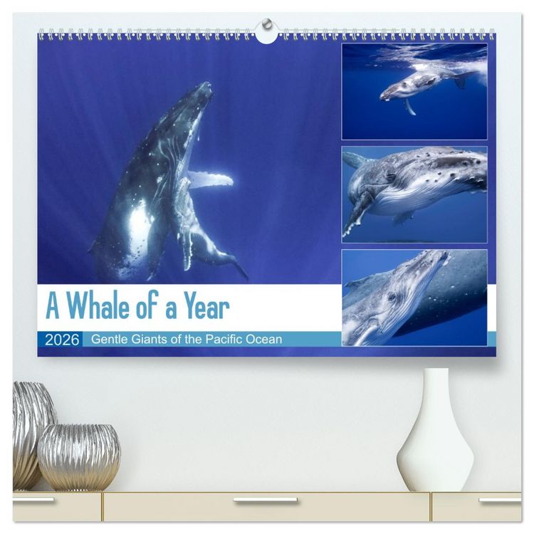 Produktbild: A Whale of a Year (High Quality Premium Wall Calendar 2026 DIN A2 landscape),CALVENDO 12 Month Wall Calendar
