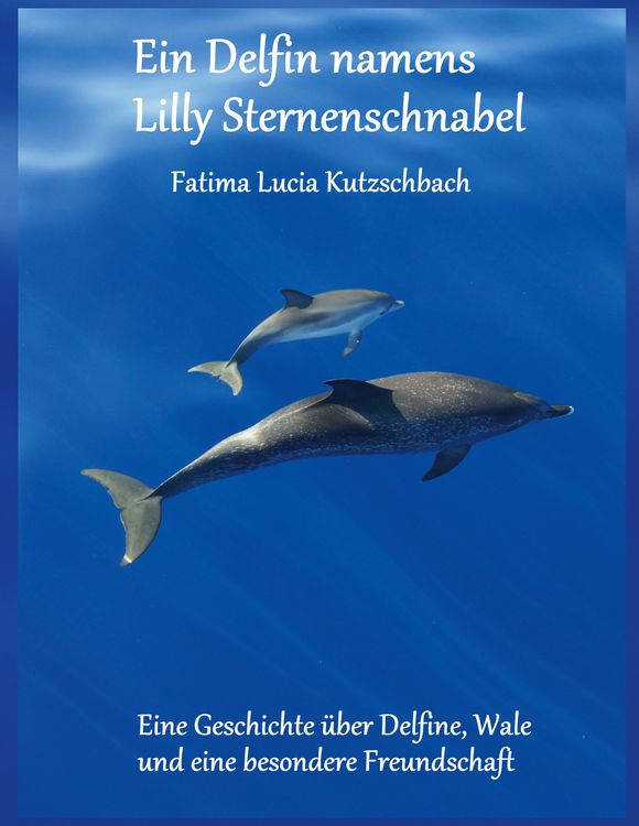 Produktbild: Ein Delfin namens Lilly Sternenschnabel