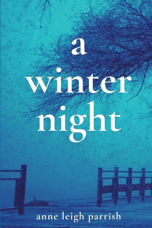 Produktbild: A Winter Night