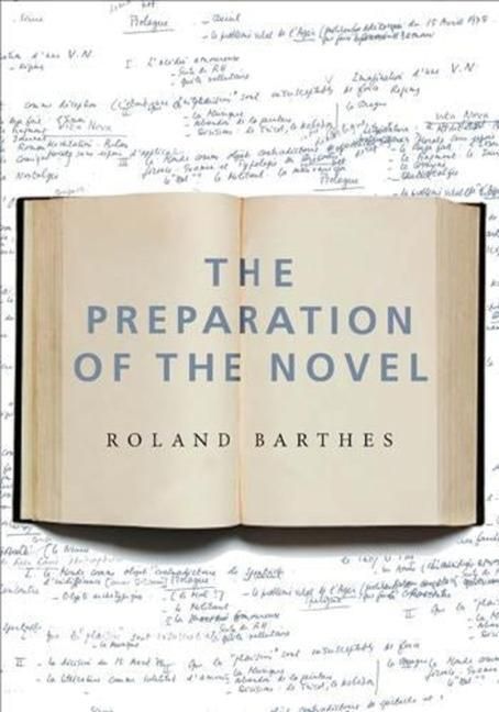 Produktbild: The Preparation of the Novel