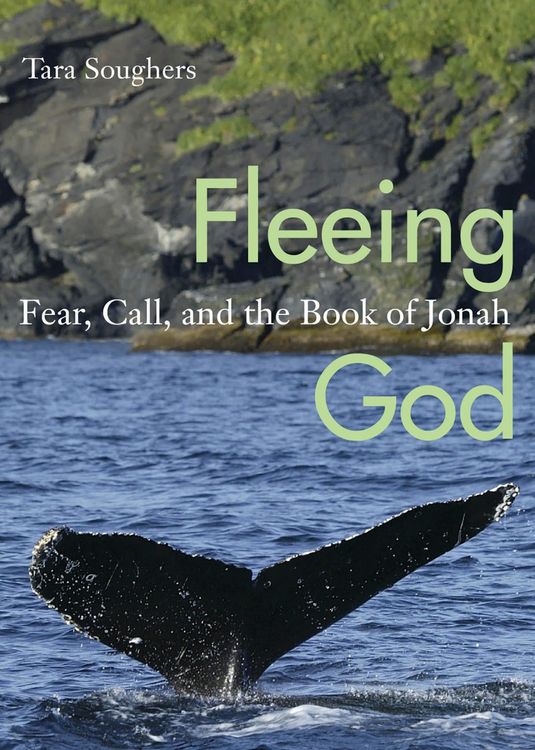 Produktbild: Fleeing God