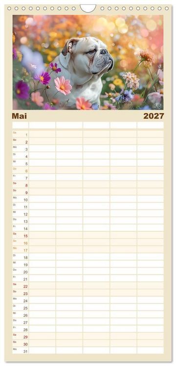Produktbild: Familienplaner 2027 - Englische Bulldoggen im Bl&uuml;tenmeer mit 5 Spalten (Wandkalender, 21 x 45 cm) CALVENDO