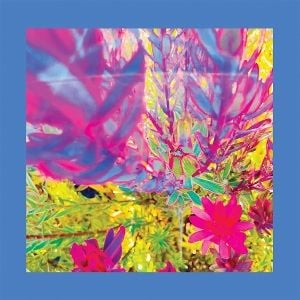 Produktbild: THE PAST IS A GARDEN I NEVER FED (Sky Blue Vinyl)