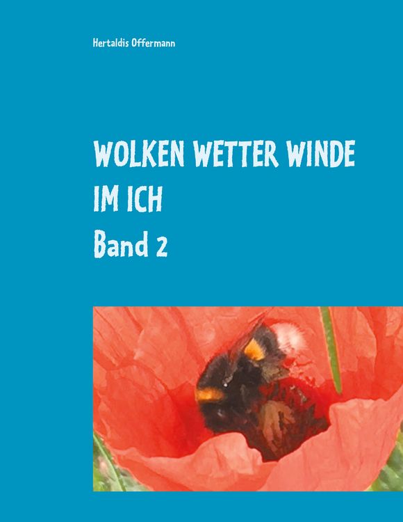 Produktbild: Wolken Wetter Winde im Ich