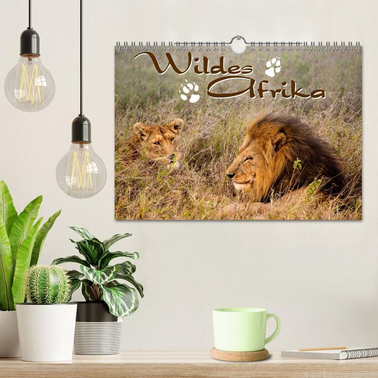 Produktbild: Wildes Afrika (Wandkalender 2026 DIN A4 quer), CALVENDO Monatskalender