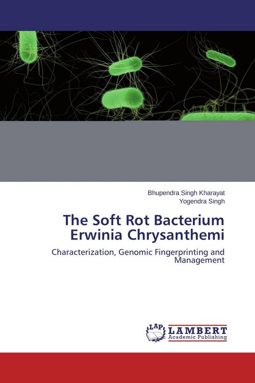 Produktbild: The Soft Rot Bacterium Erwinia Chrysanthemi