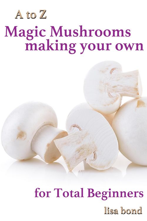 Produktbild: A to Z Magic Mushrooms Making Your Own for Total Beginners
