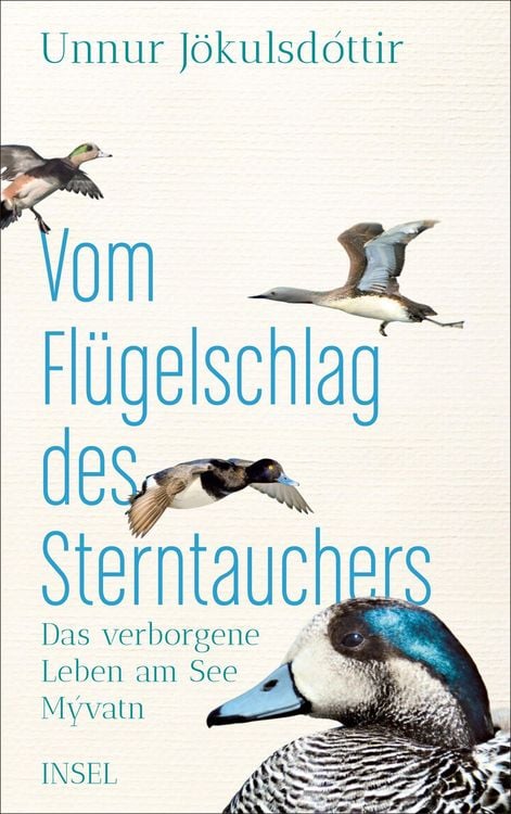 Produktbild: Vom Fl&uuml;gelschlag des Sterntauchers