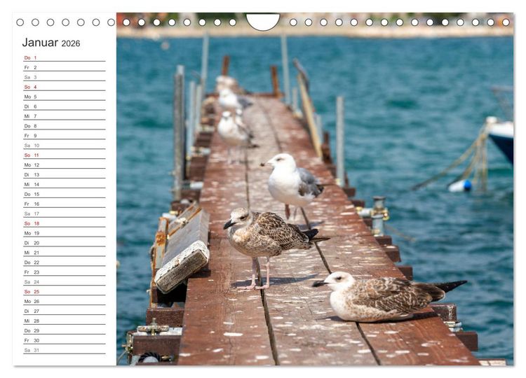 Produktbild: Koper - Slowenien Kalender (Wandkalender 2026 DIN A4 quer), CALVENDO Monatskalender