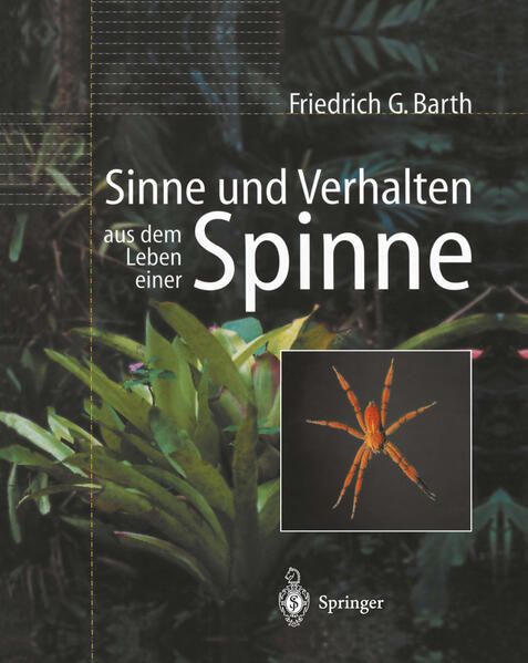 Produktbild: Sinne und Verhalten: aus dem Leben einer Spinne