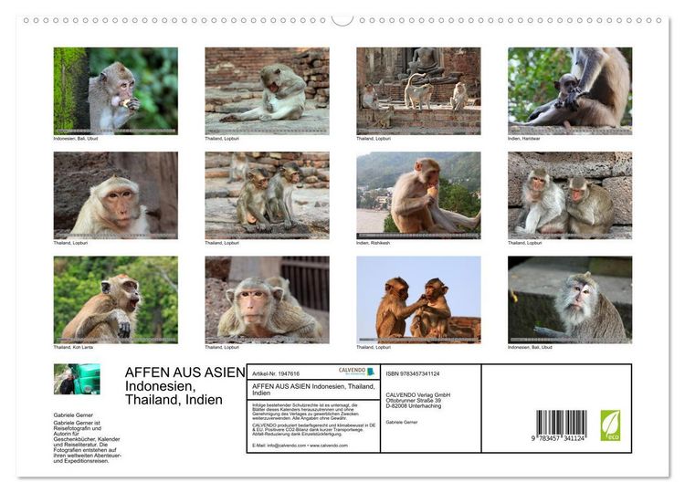 Produktbild: AFFEN AUS ASIEN Indonesien, Thailand, Indien (hochwertiger Premium Wandkalender 2026 DIN A2 quer), Kunstdruck in Hochglanz
