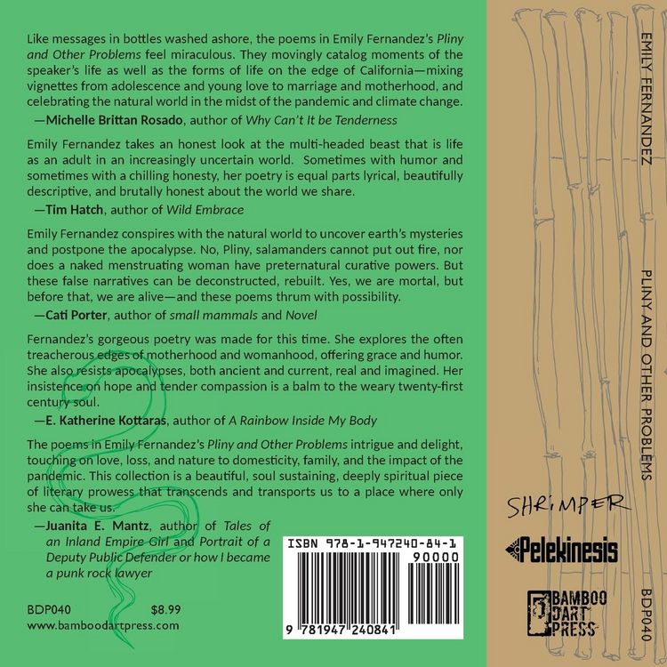 Produktbild: Pliny and Other Problems