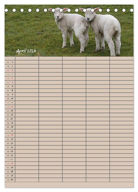 Produktbild: Der bel&auml;mmerte Familienplaner (Tischkalender 2026 DIN A5 hoch), CALVENDO Monatskalender