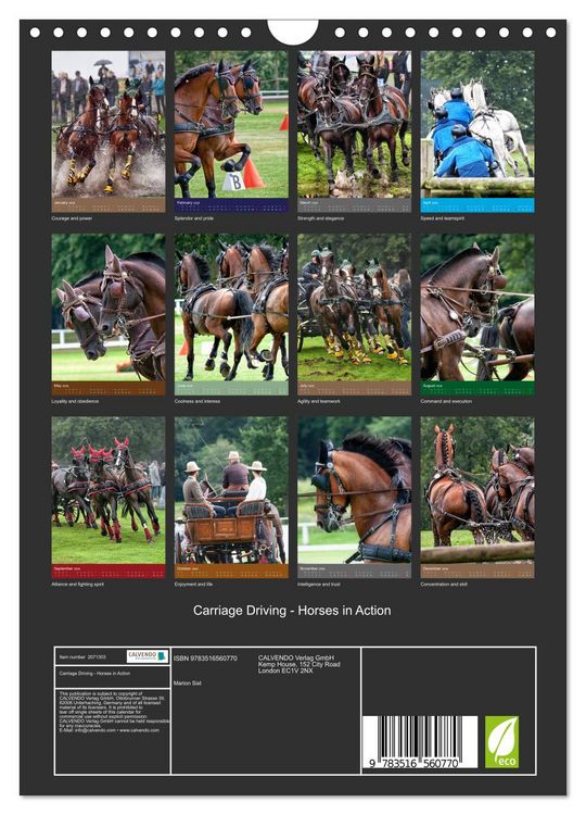 Produktbild: Carriage Driving - Horses in Action (Wall Calendar 2026 DIN A4 portrait), CALVENDO 12 Month Wall Calendar