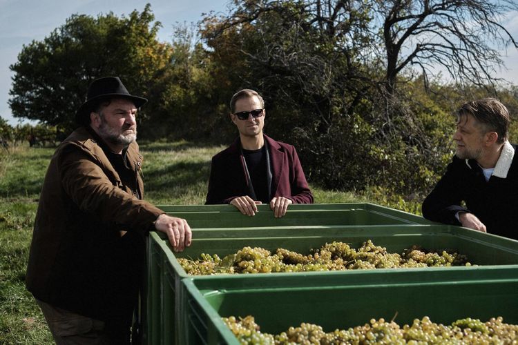 Produktbild: Blind ermittelt: Tod im Weinberg (Folge 8)