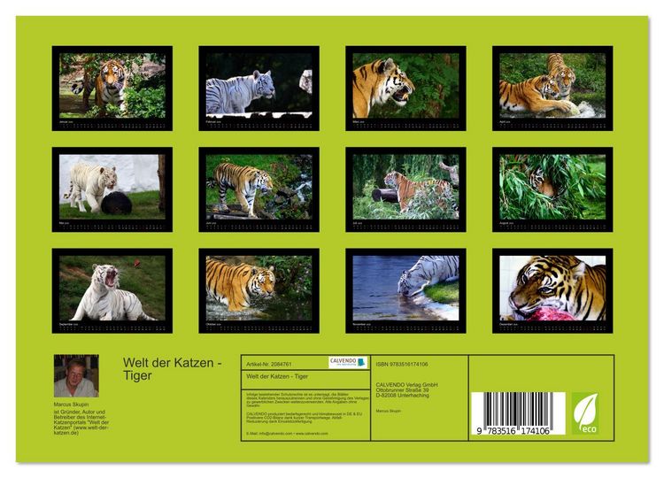Produktbild: Welt der Katzen - Tiger (Wandkalender 2026 DIN A4 quer), CALVENDO Monatskalender
