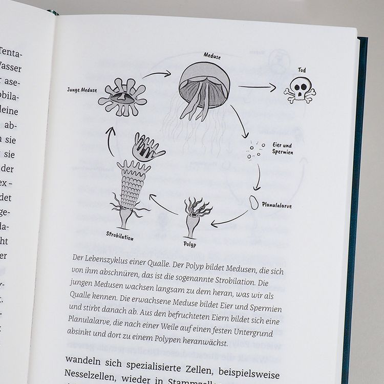 Produktbild: Wenn Haie leuchten