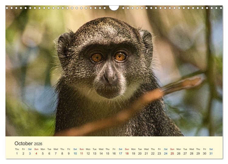 Produktbild: Wonderful Kenya (Wall Calendar 2026 DIN A3 landscape), CALVENDO 12 Month Wall Calendar