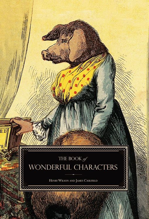 Produktbild: The Book of Wonderful Characters